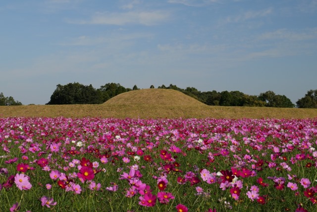 西都原古墳群