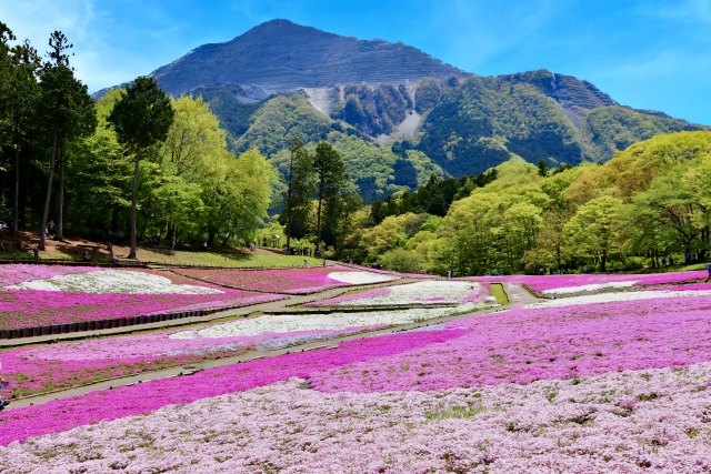 Hitsujiyama Park