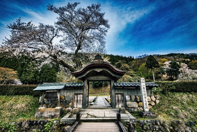 一乗谷朝倉氏遗址（Ichijyodani Asakura Ruins）