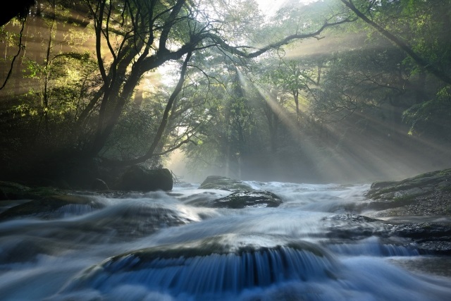 Kikuchi Gorge