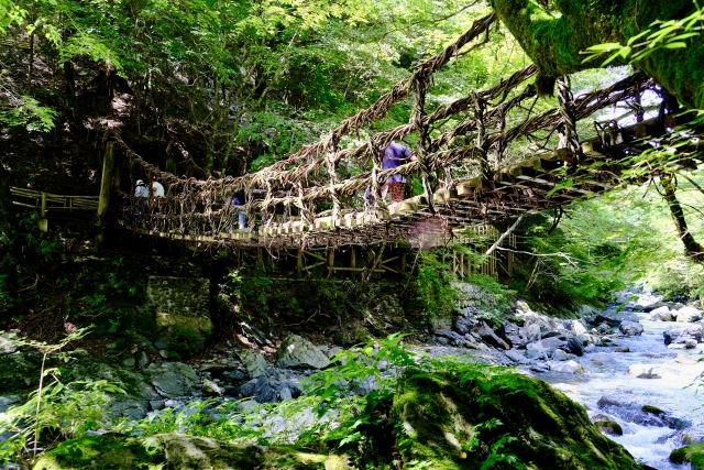 祖谷のかずら橋（Iya no kazurabashi）